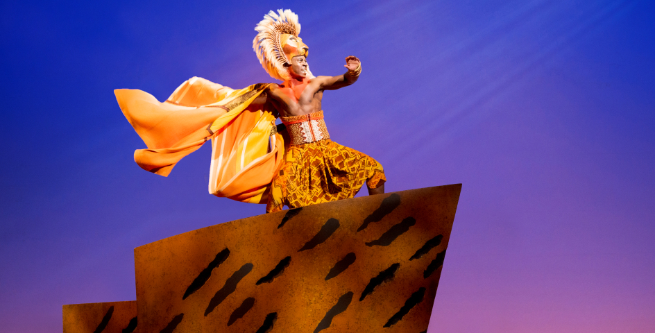 ハーモニーキングダム　ライオンキング ライオンキング